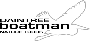 Daintree Boatman Nature Tours