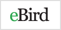 eBird