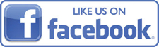 Facebook like logo