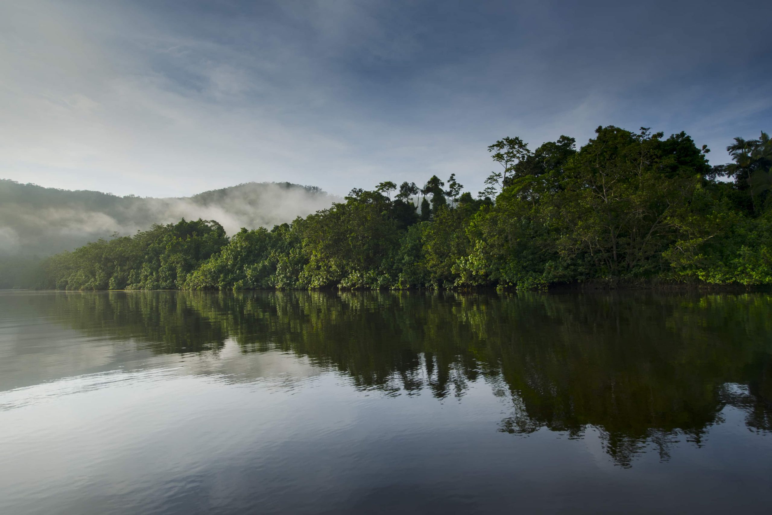 daintree boatman river cruise